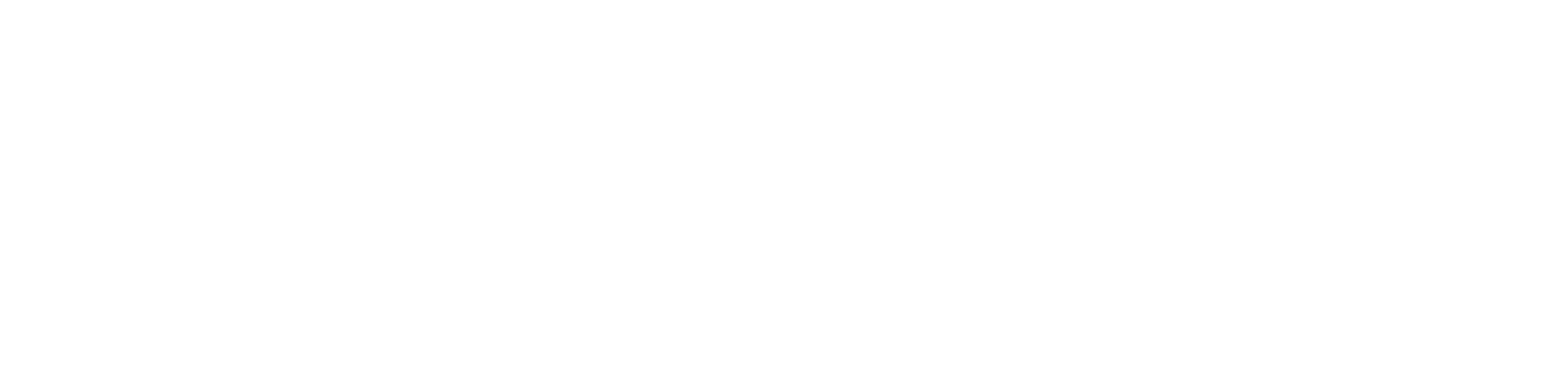 Tokenomy Logo